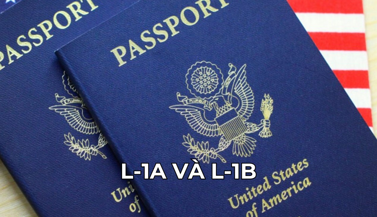 Chi phí dịch vụ L-1A và L-1B