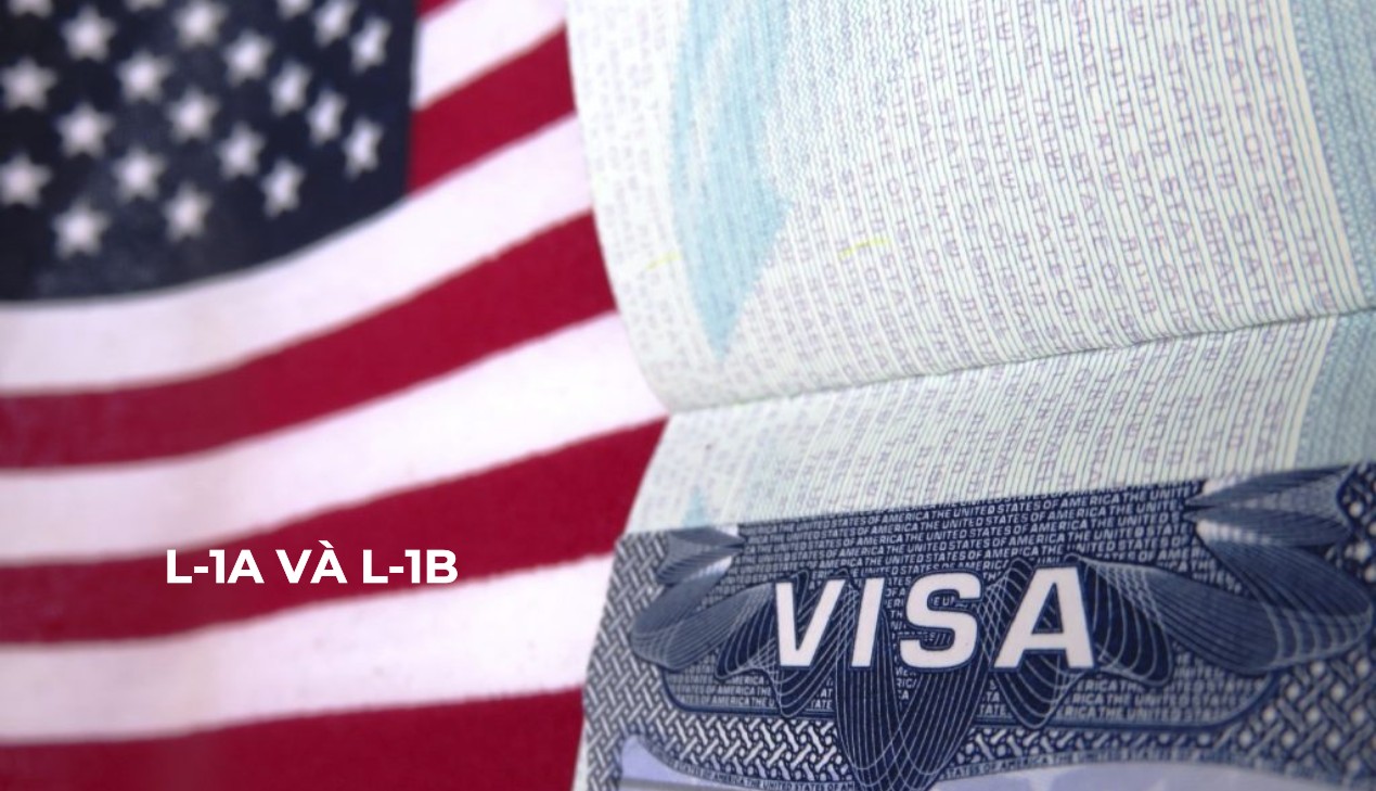 Tư vấn chiến lược visa L-1A và L-1B